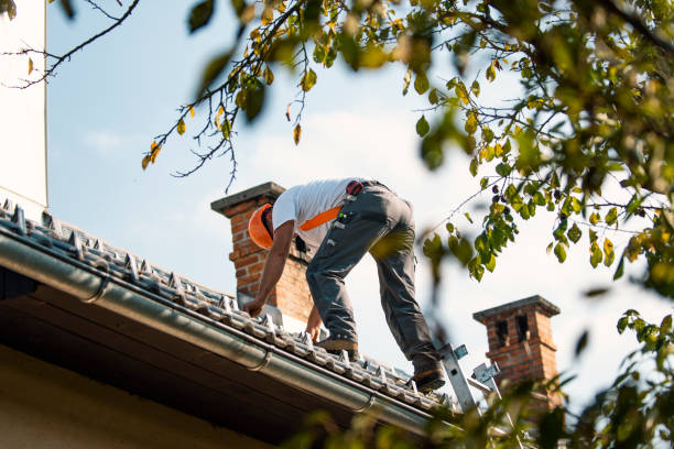 Best Roof Installation Near Me  in Woodland Beach, MI