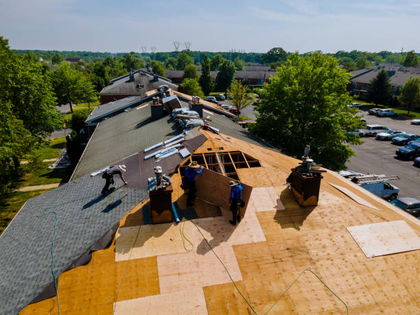 Best Roof Restoration Services  in Woodland Beach, MI