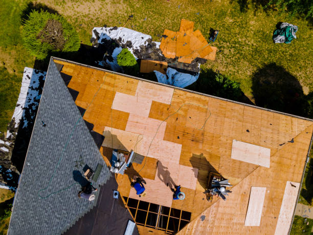 Best Roof Repair Specialists  in Woodland Beach, MI