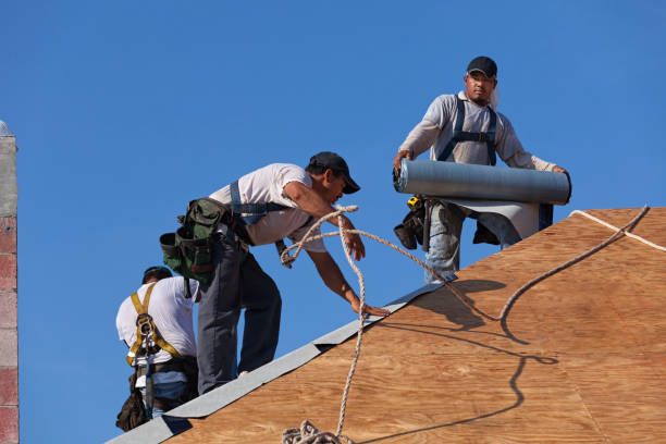 Best New Roof Installation  in Woodland Beach, MI
