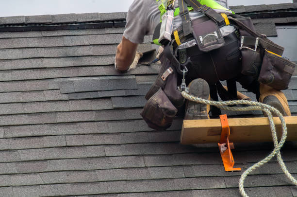Roof Gutter Cleaning in Woodland Beach, MI