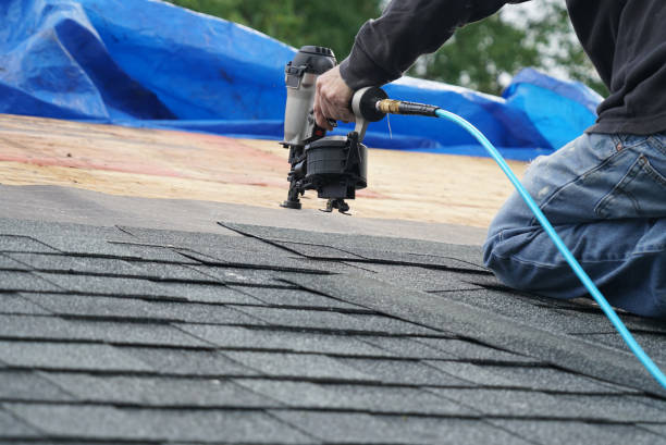 Best Local Roofing Companies  in Woodland Beach, MI