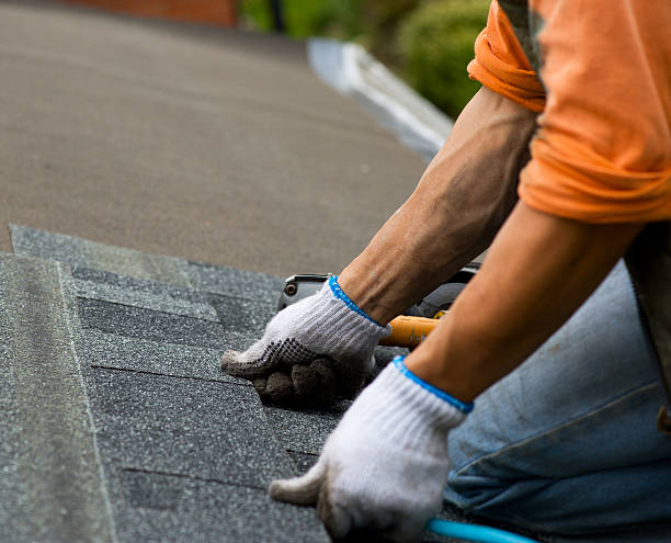 Best New Roof Installation  in Woodland Beach, MI