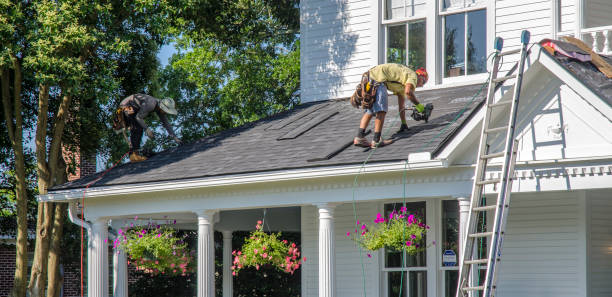 Best Shingle Roofing Installation  in Woodland Beach, MI