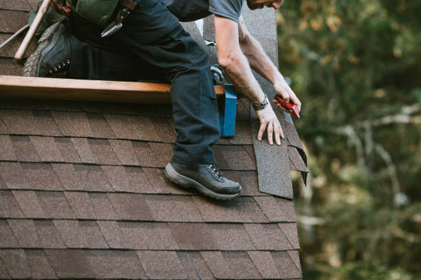 Best Gutter Installation and Roofing  in Woodland Beach, MI