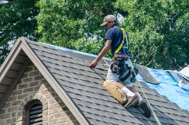 Best Best Roofing Contractors  in Woodland Beach, MI