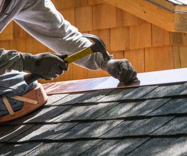Best Roof Gutter Cleaning  in Woodland Beach, MI